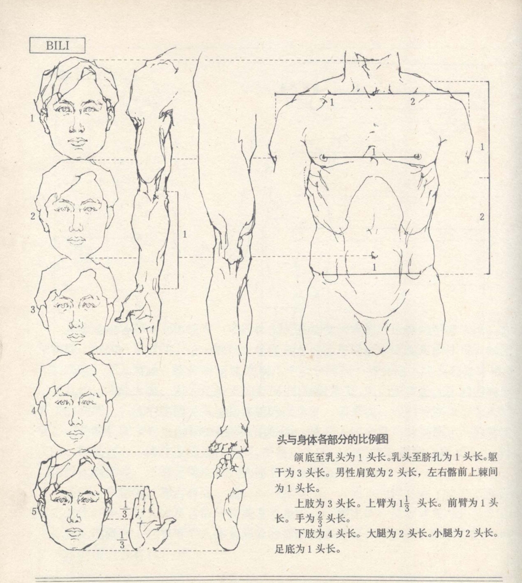 人体造形基础140p