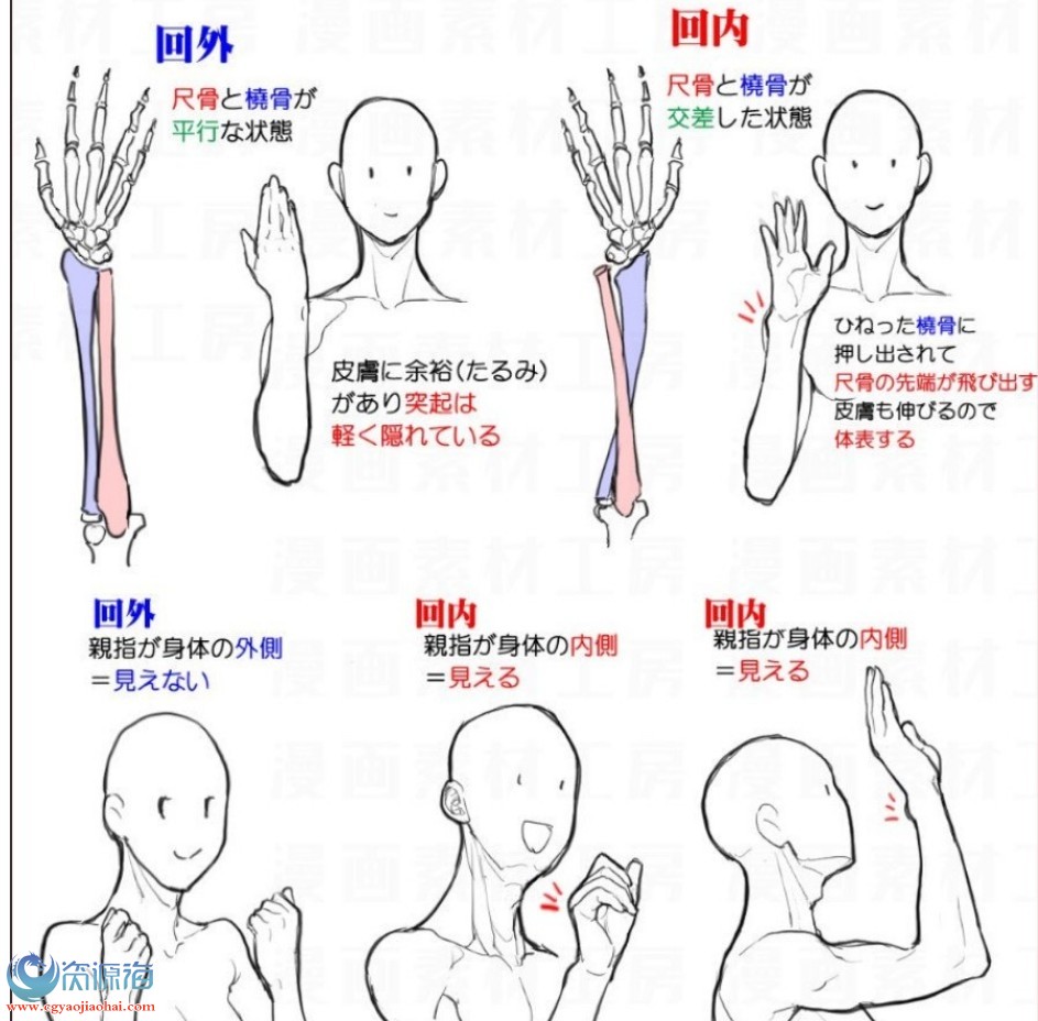 漫画素材工房最全合集 约900p 图文文本结构教程 Cg资源海 Cgziyuanhai Com