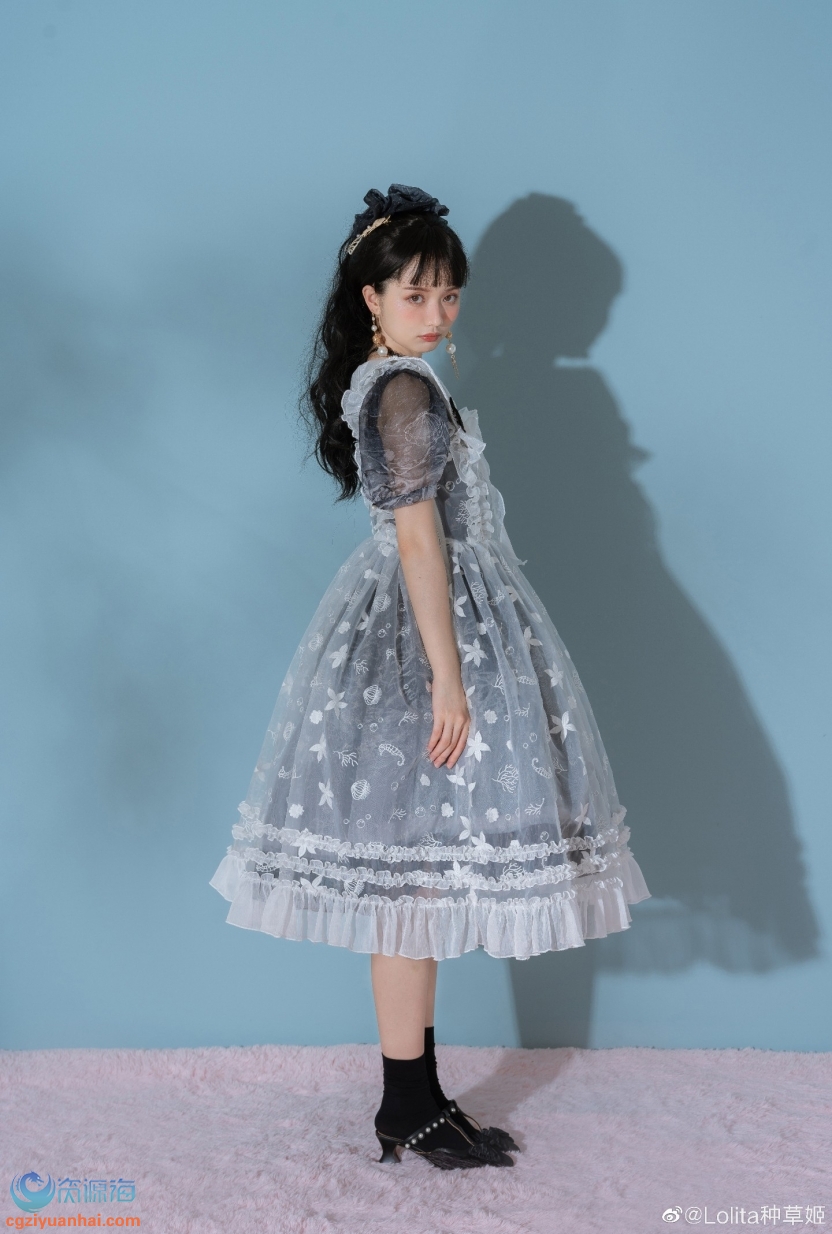 lolita素材丨洋裝洛麗塔服裝的設計與搭配學習參考資源5000p