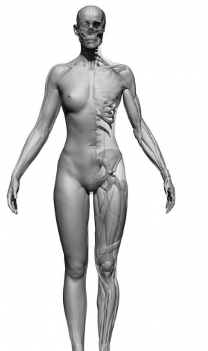 女性完整身体超精细雕刻3D模型