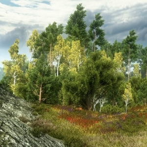 Realistic Nature Environment  自然树林