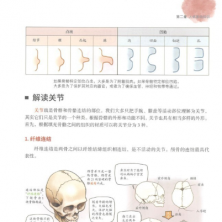 艺用解剖学笔记 中文版