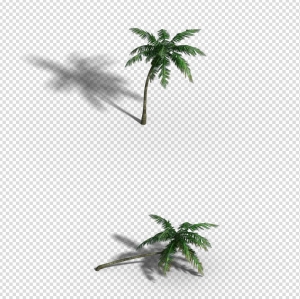 高模 植物-2个椰树