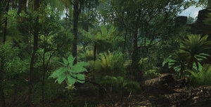 [3D资源] 热带雨林植物 超30种树木 高分辨率贴图 带法线