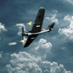 German Plane WWII ս¹ɻ