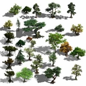 究极素材整理 免扣植物 写实树木藤蔓元件 2.5D地图拼图参考