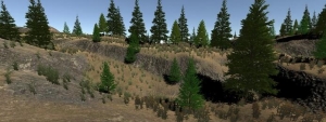 unity3d针叶林场景模型包Conifer Forest Collection
