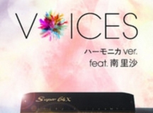 [Hi-Res]VOICES ϩ`˥ ver. feat. ɳ 96.0kHz/24bit