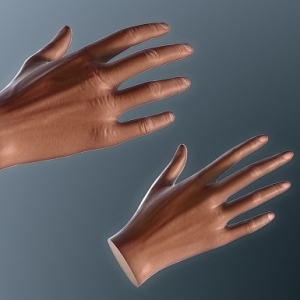 Hands for VR Basic 1.0 - VR专用的手部模型