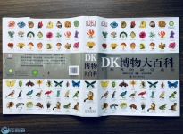 DK博物大百科-307页